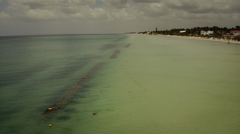 Artificial reef structures submerged along coastline to preserve beaches image